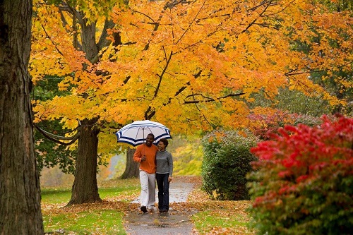 new england autumn